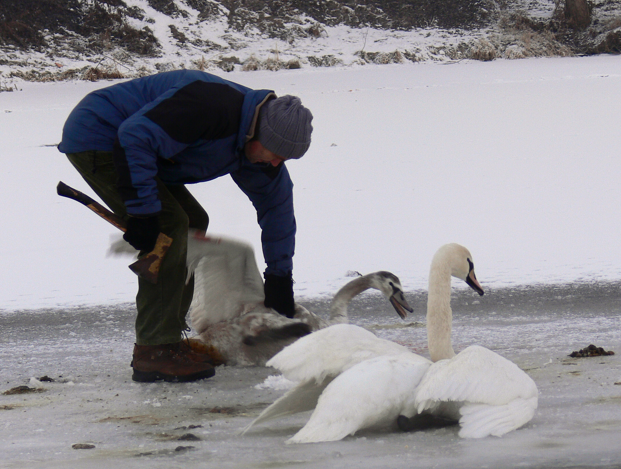 Záchranná stanice pro zraněné živočichy foto 4