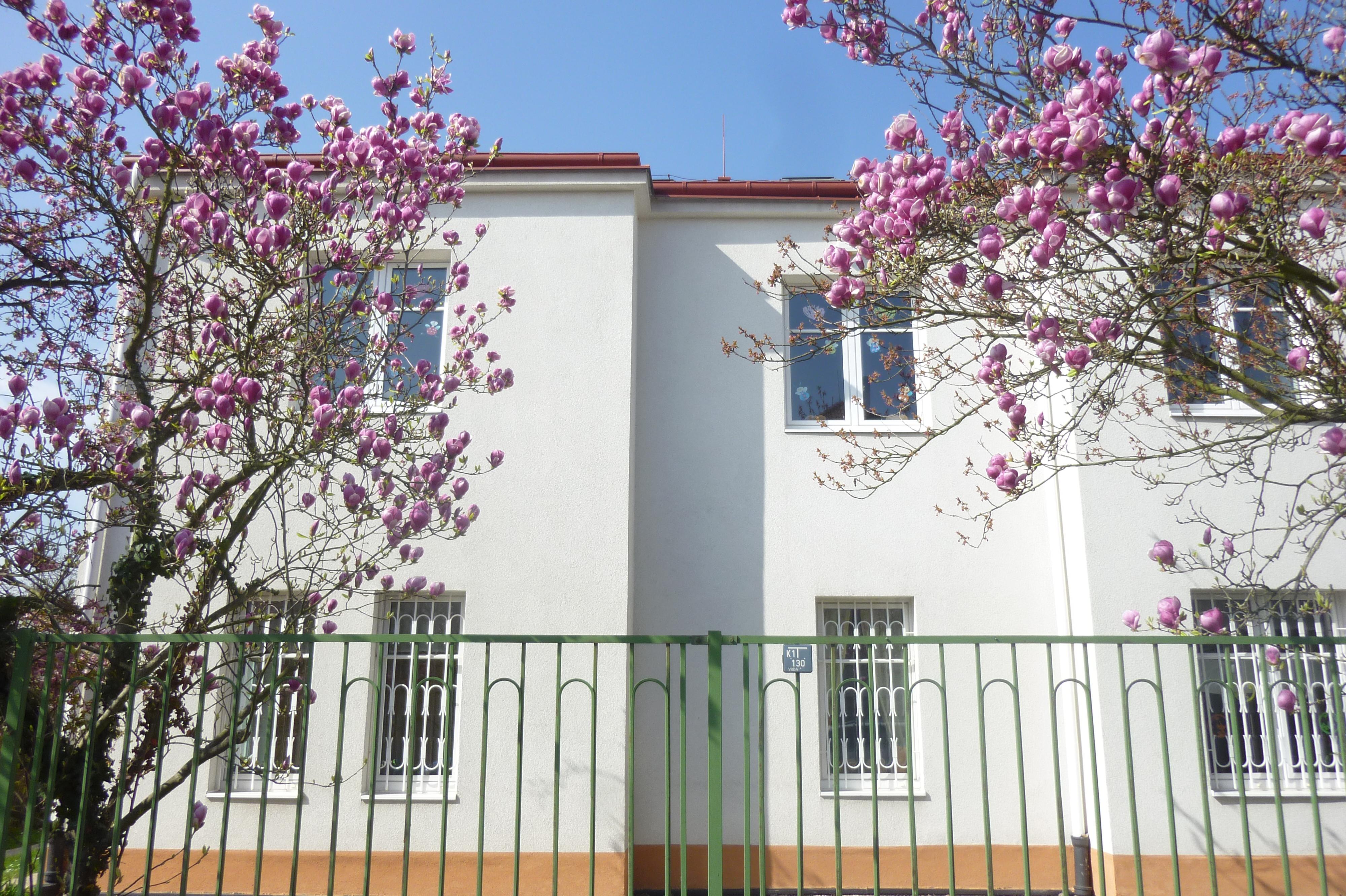 Jesle Naruby - Klub Tamino foto 1