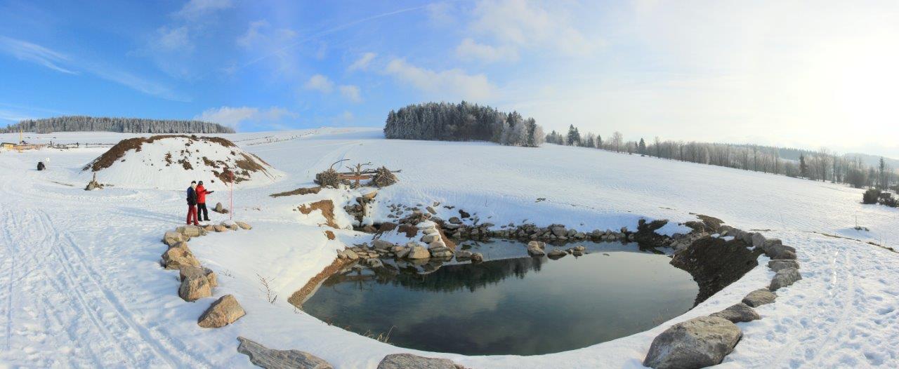Pozemky Čenkovice foto 6