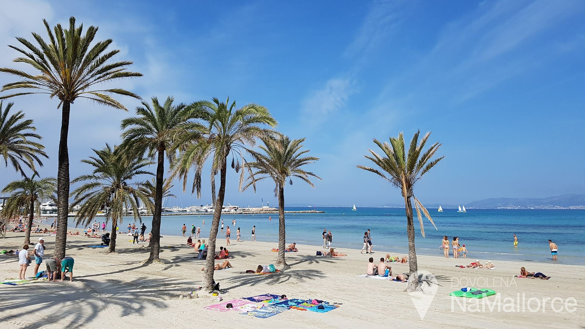 Cestovní agentura Rinzia s.r.o. foto 4