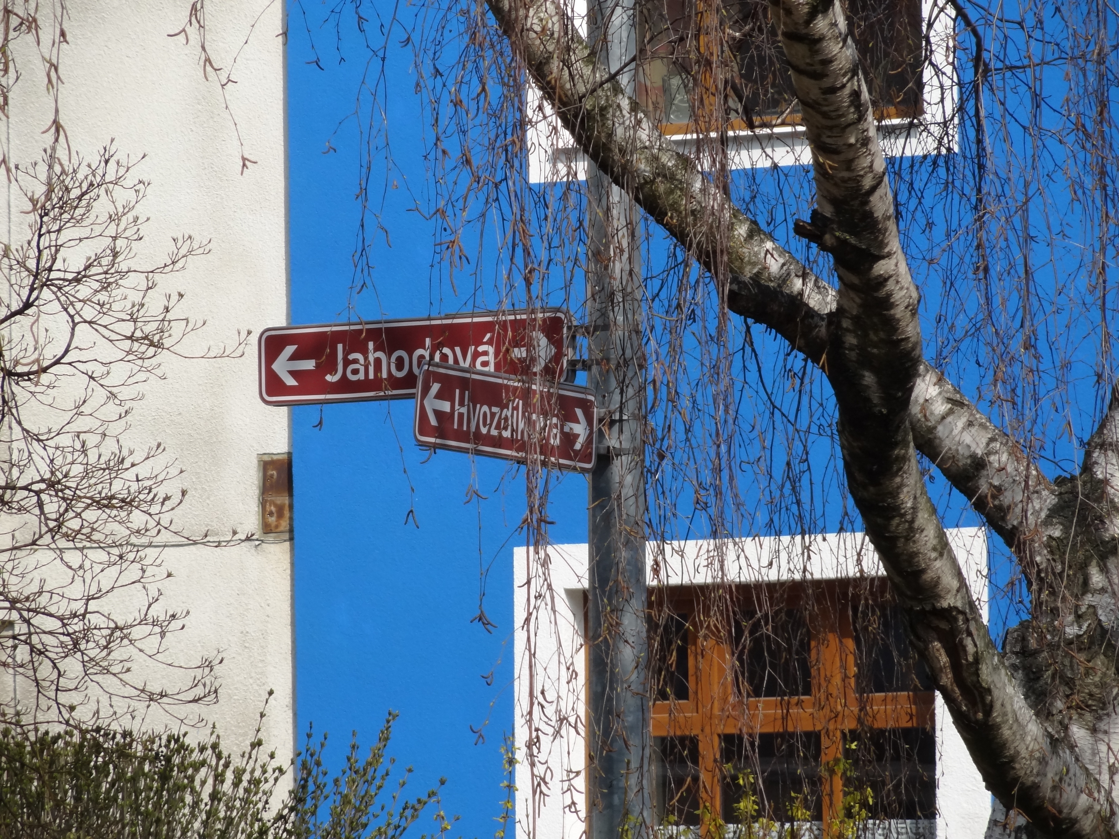 Garden City Reality foto 2