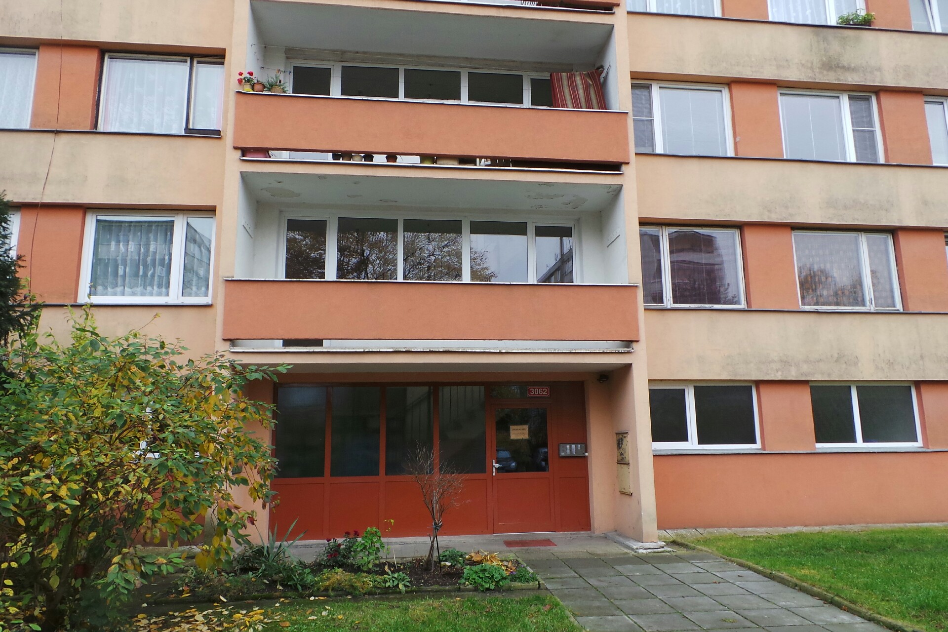 Angličtina - Iva Plešingerová