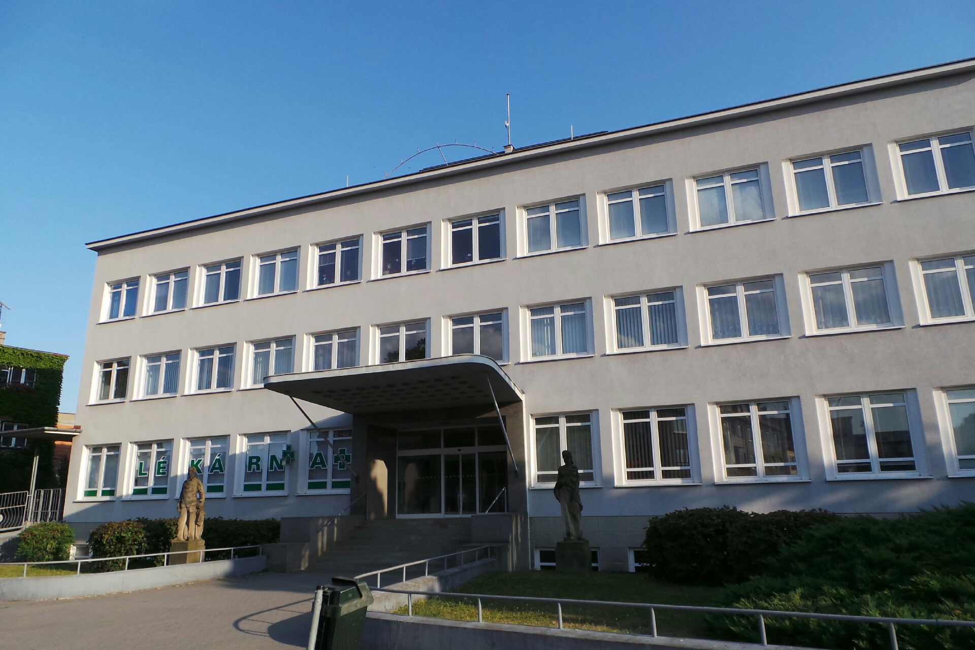 MUDr. Irena Holíková