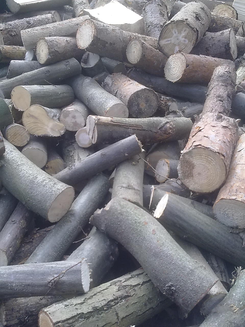 Prodej palivového dříví - Pavel Vitner foto 2