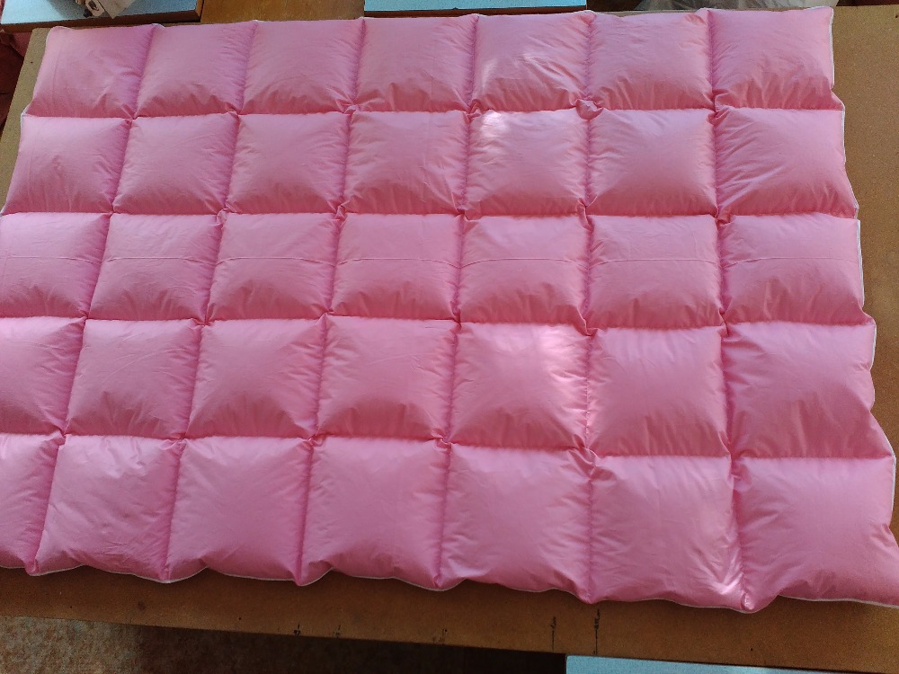 Lenka Suchanková - čistírna peří foto 2