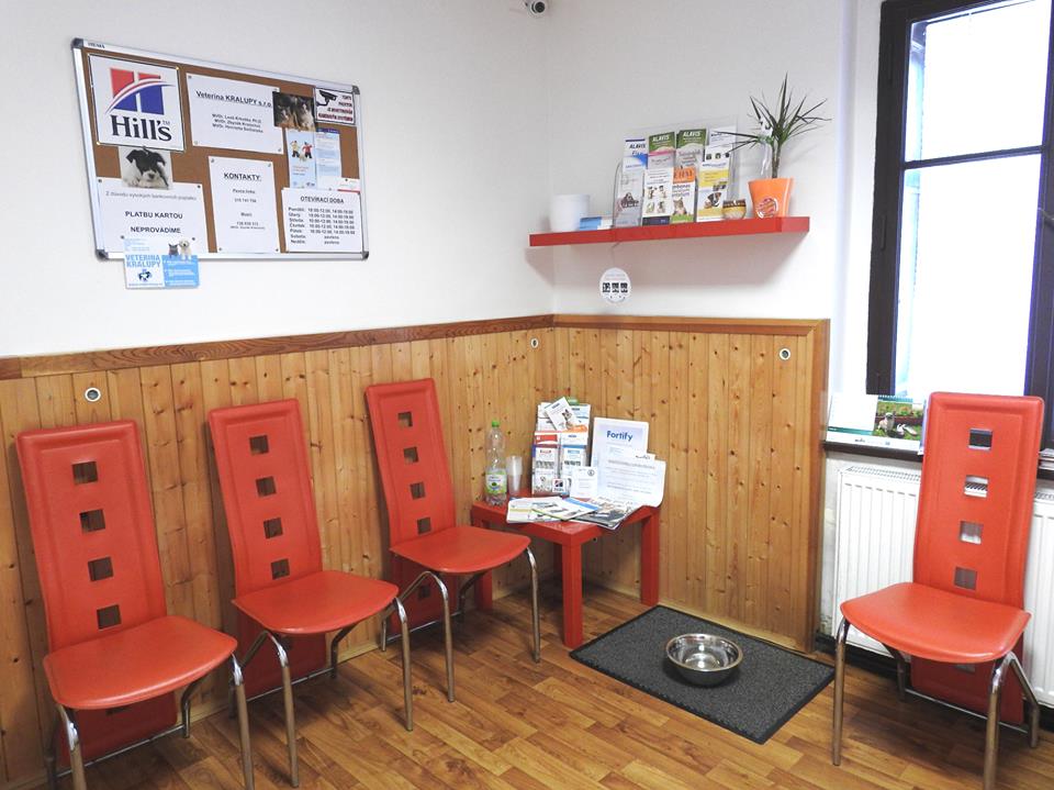 Veterina Kralupy foto 2
