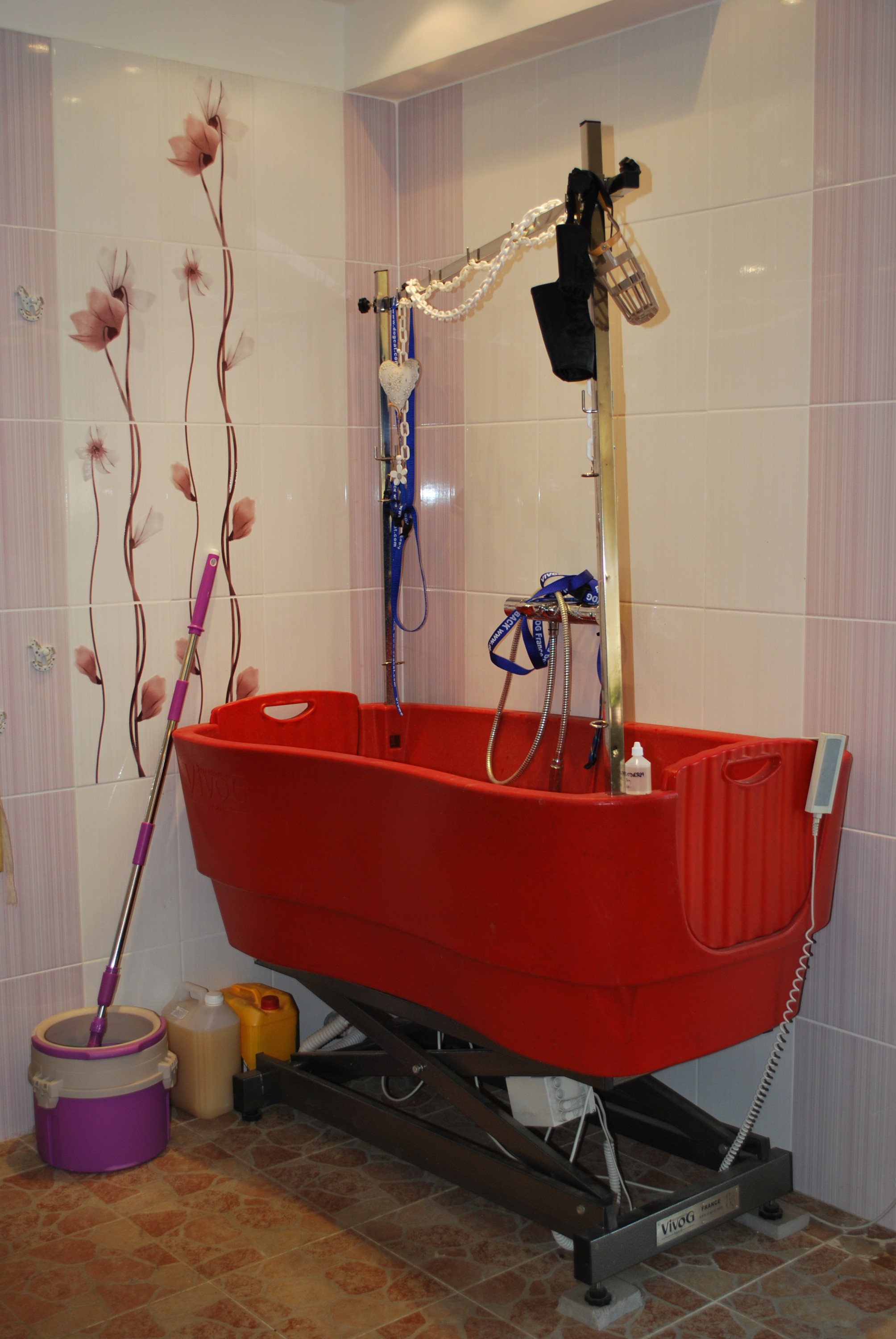 Psí salon Honey Rose - Jitka Buyens foto 2