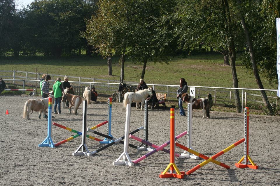 Ivana Kodrasová - Výroba chovatelských potřeb foto 2