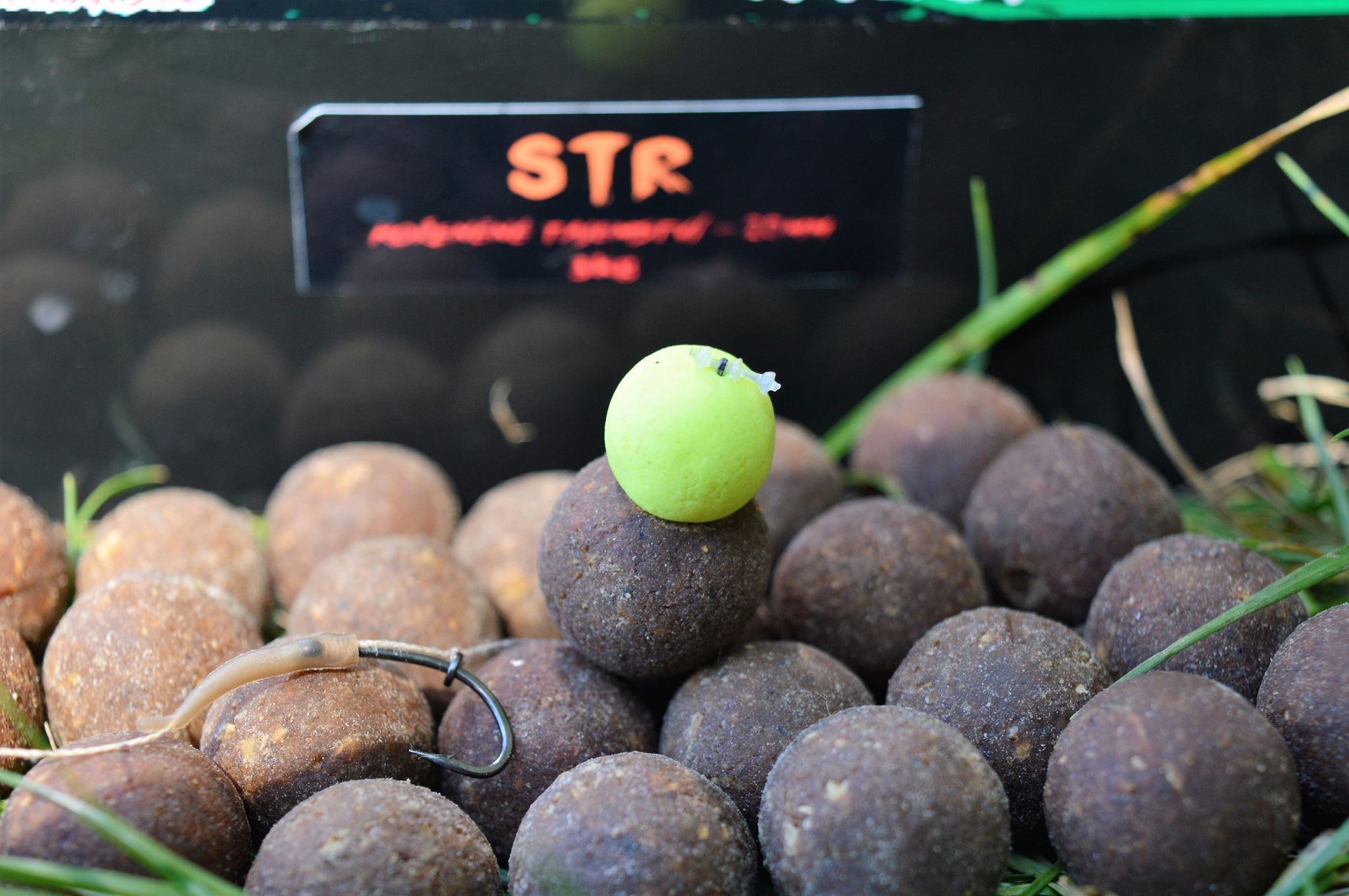 Rebelbaits foto 2