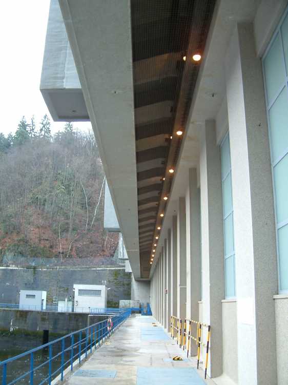 Vladimír Liška - K9 foto 4