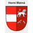 logo Město Horní Blatná