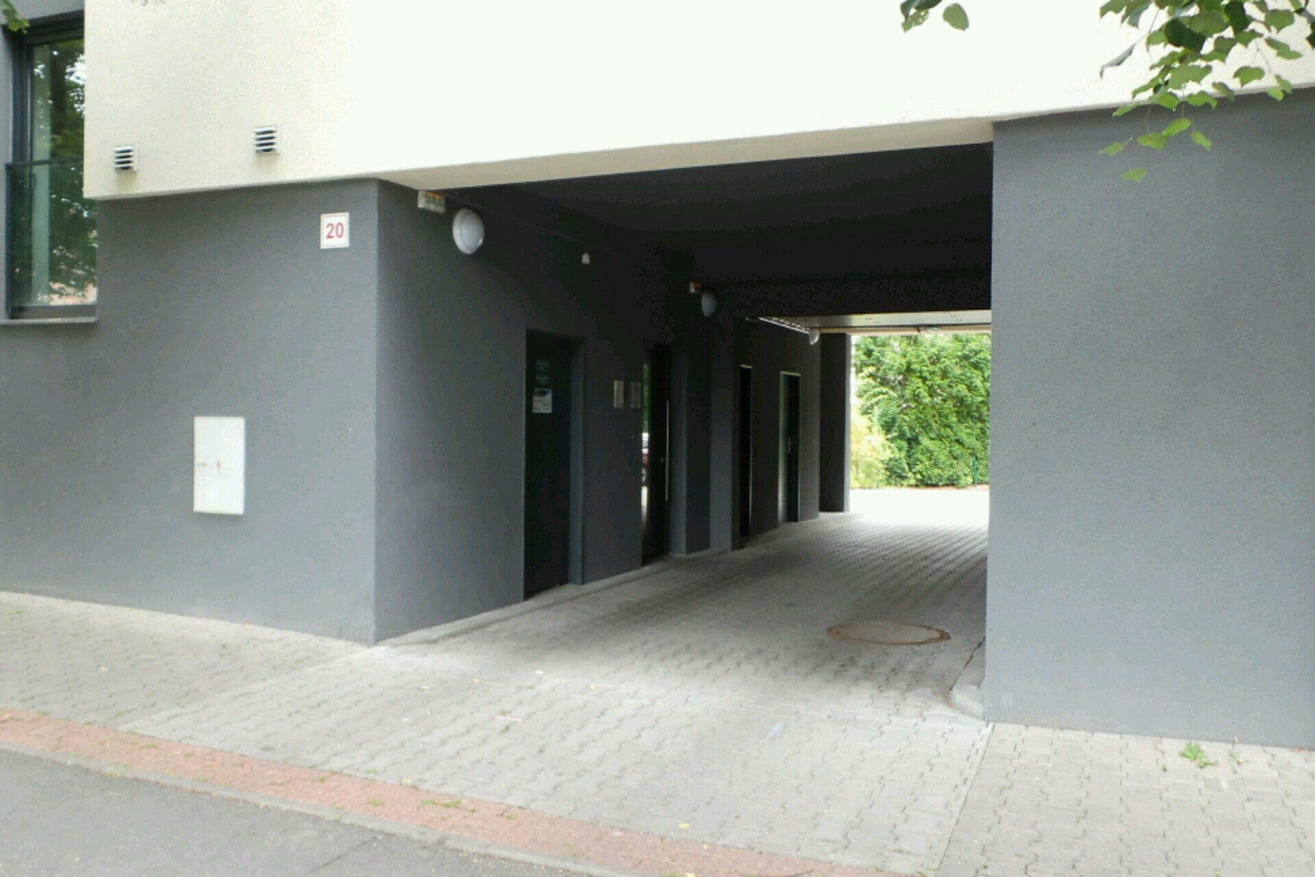 Pavlína Němečková