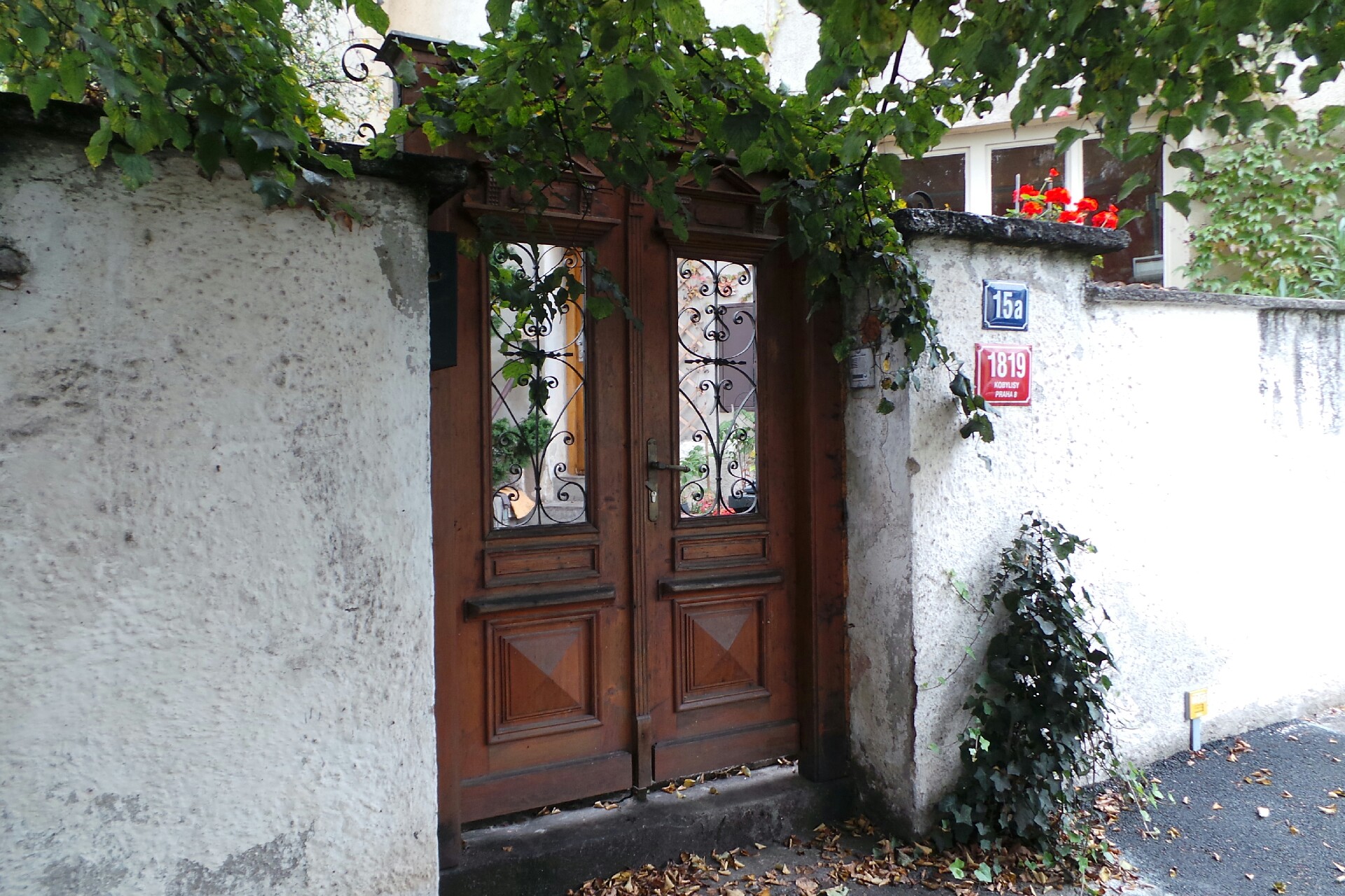 MUDr. Michaela Fiedorová