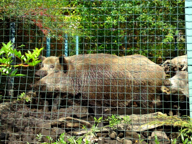 Zoo Děčín foto 4