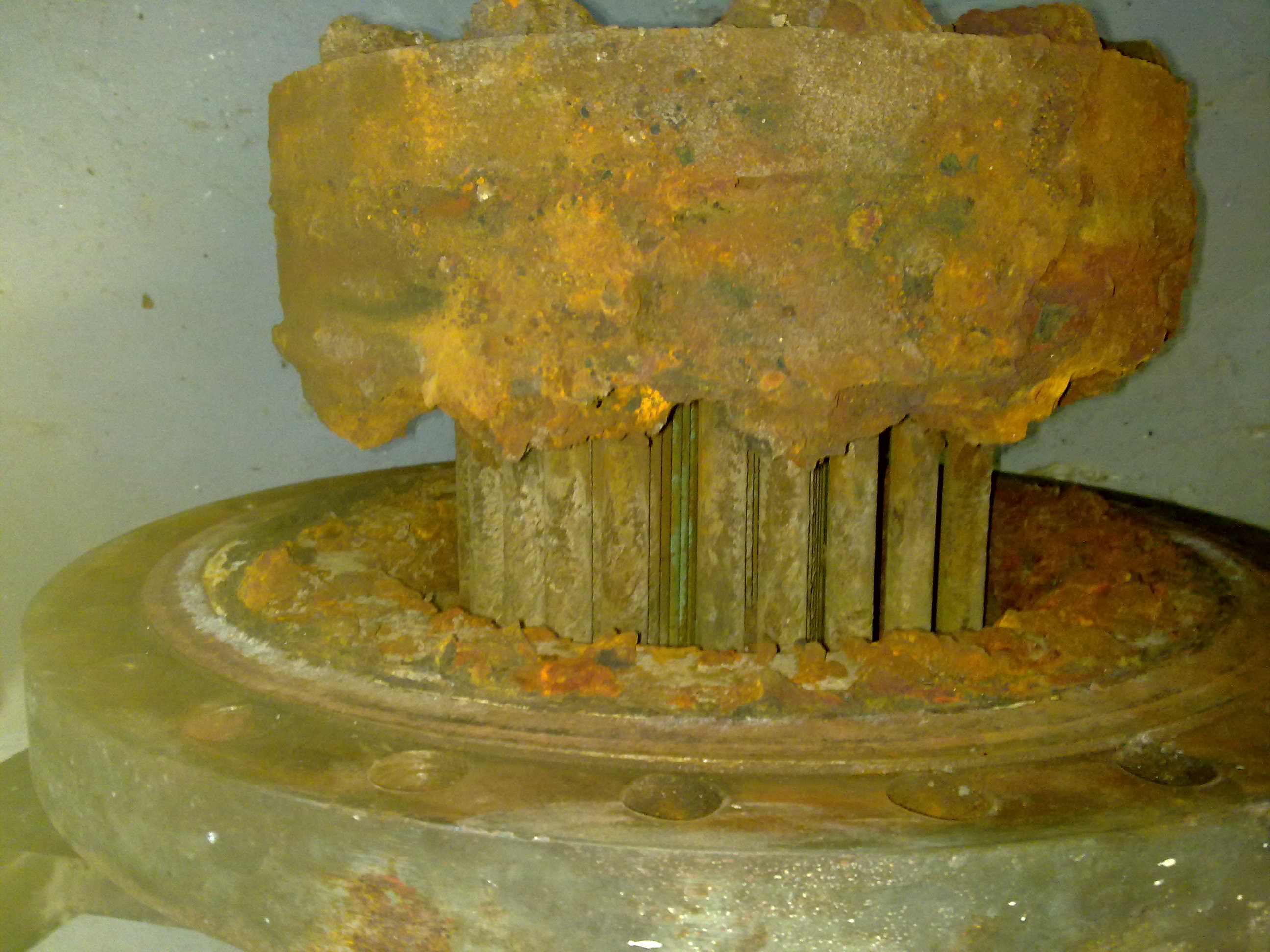 HAVLÍČEK KAREL foto 3