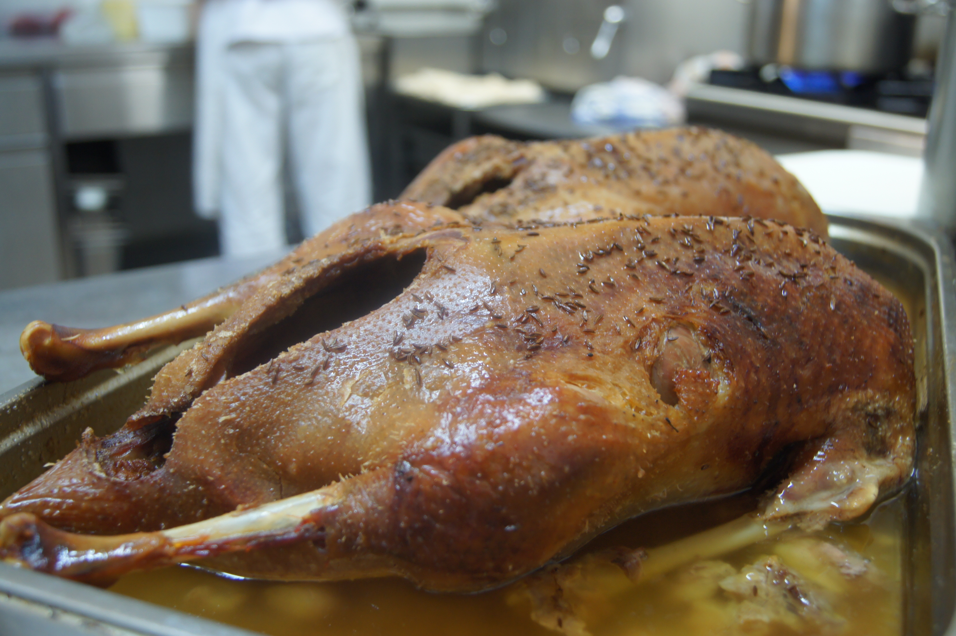 Restaurace U Růže foto 4