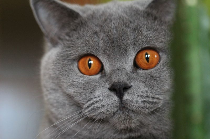 Soňa Striežencová foto 3