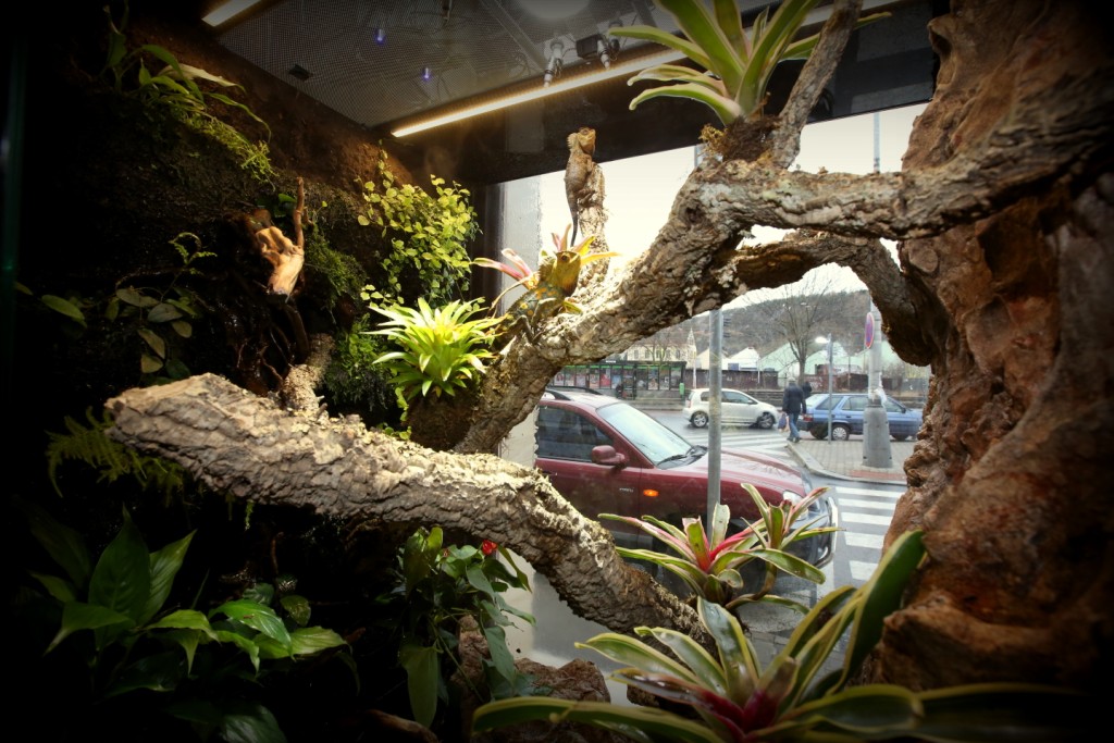 Chovatelské potřeby Věštínská 565/2 foto 3