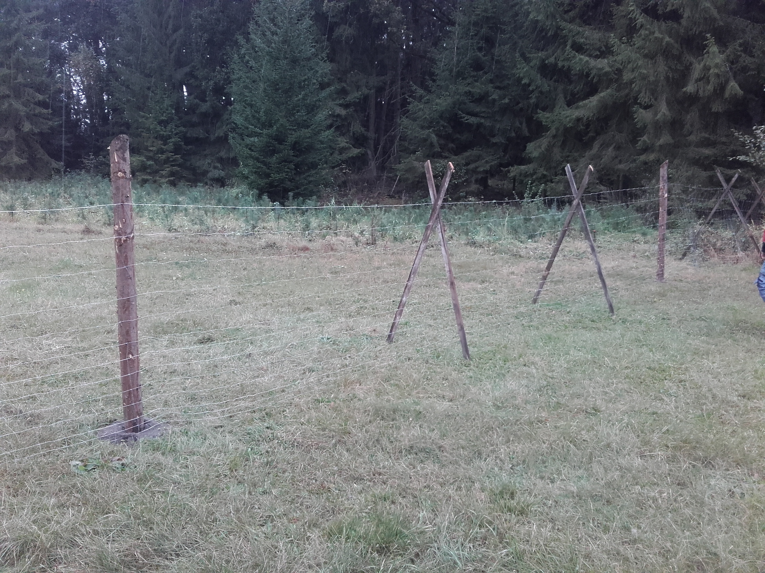 L-WOOD s.r.o. foto 3