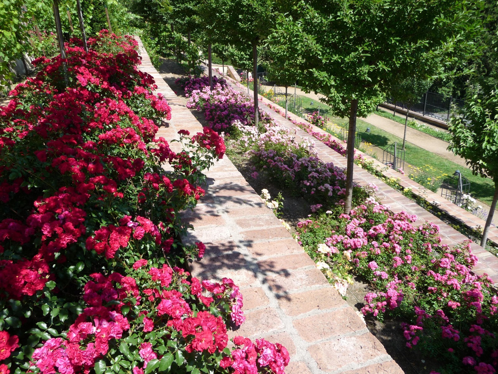 Zahrady pod Pražským hradem foto 4