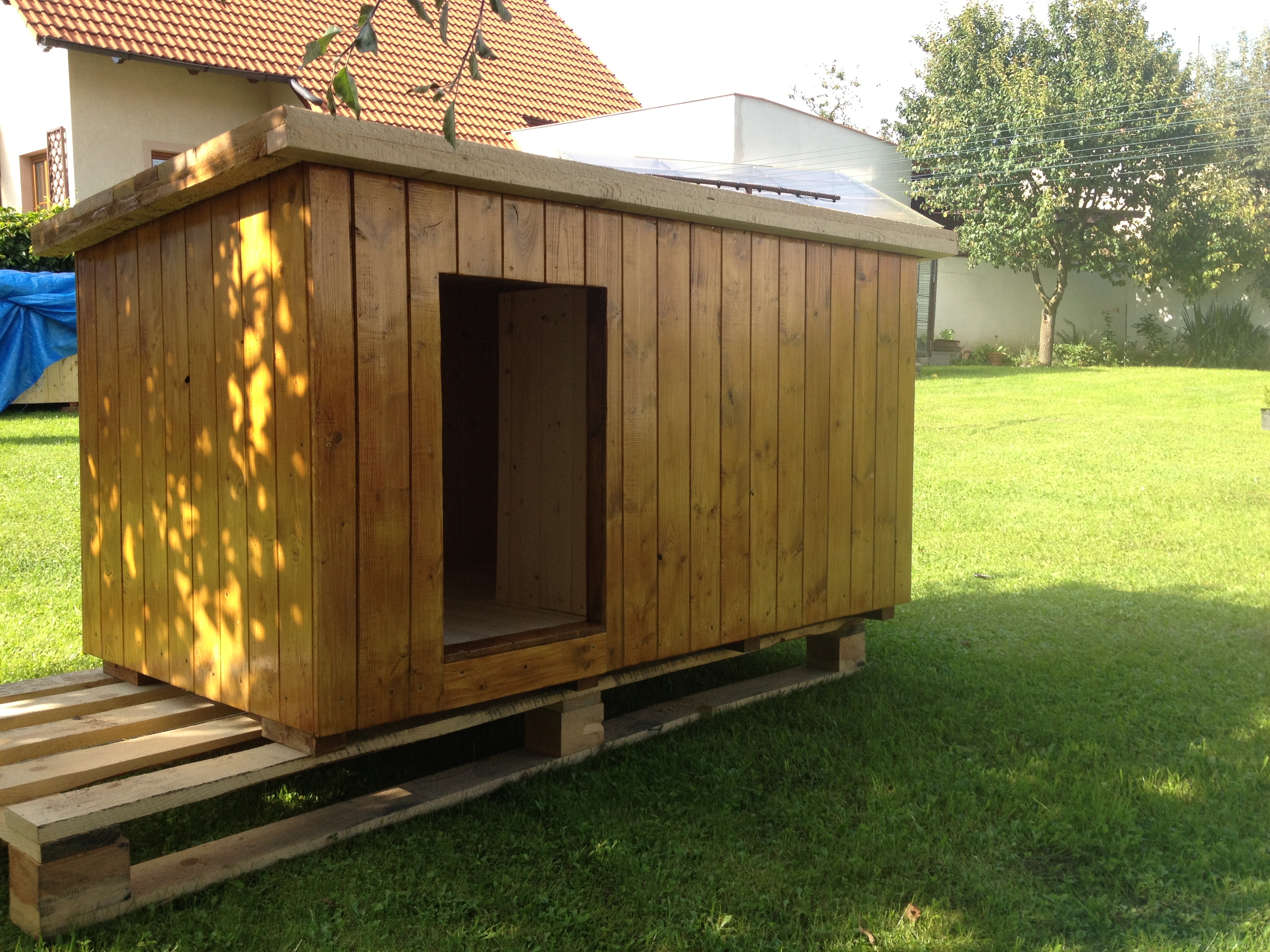 Psí boudy - Petr Novák foto 3