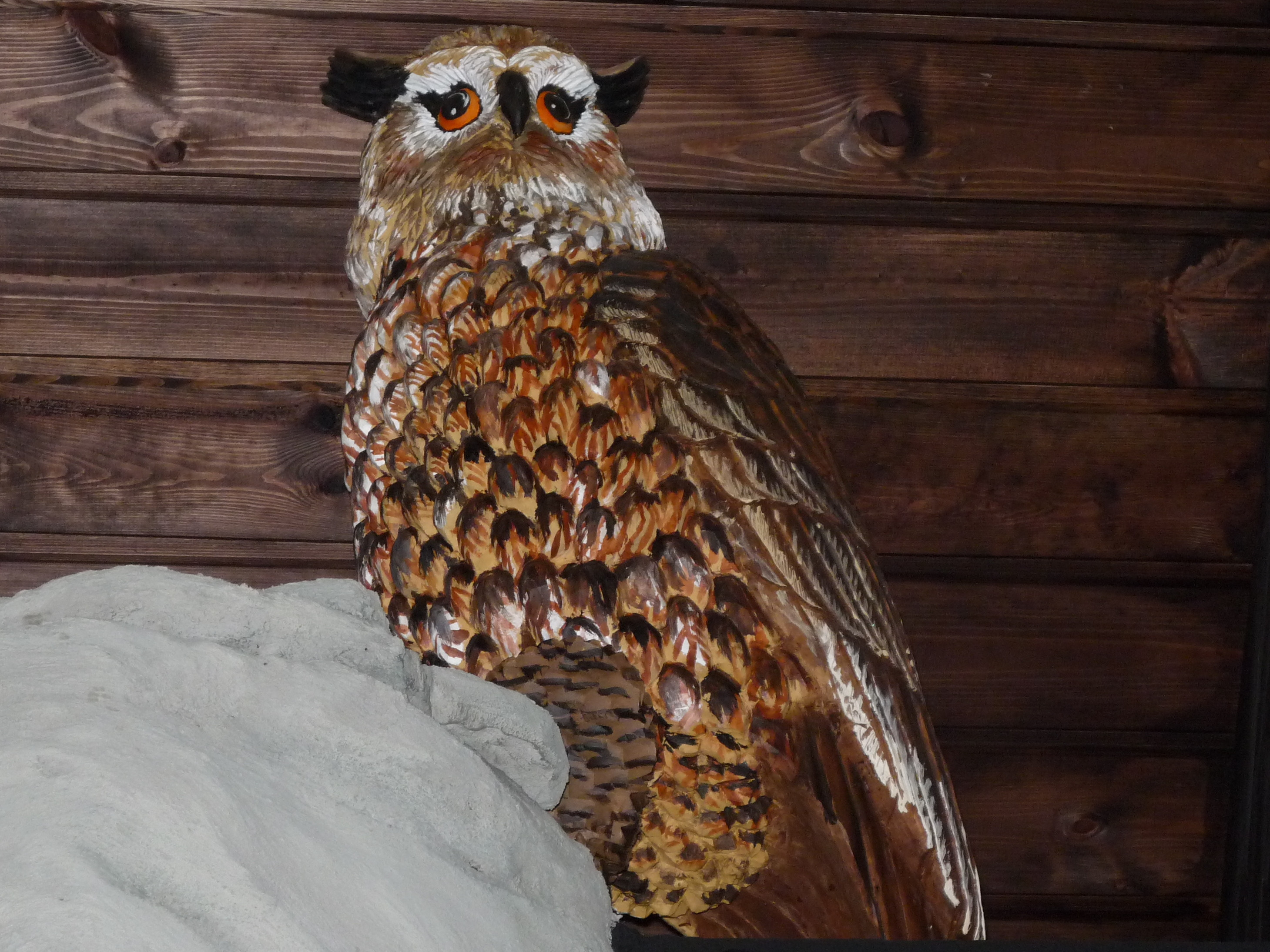 Dům přírody Českého ráje foto 3