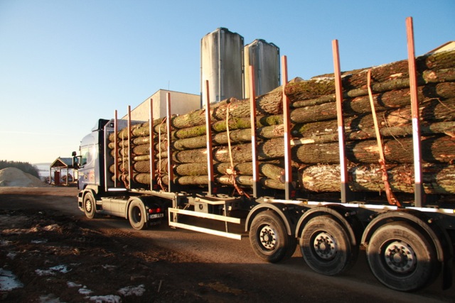 WOOD EFECT, s.r.o. foto 3