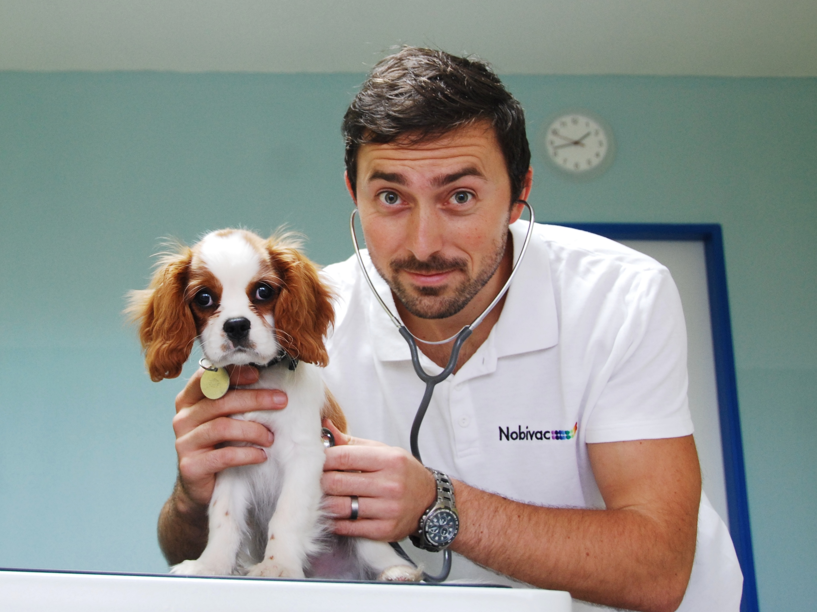 Veterinární klinika ANIMED foto 5