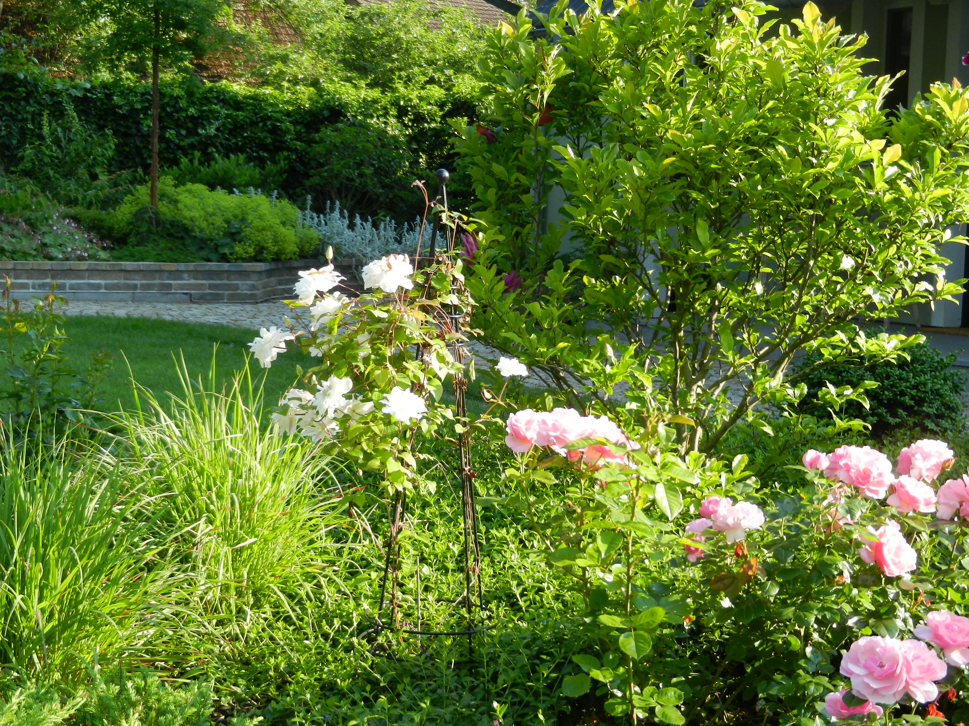 Ing. Ondřej Matějka foto 4