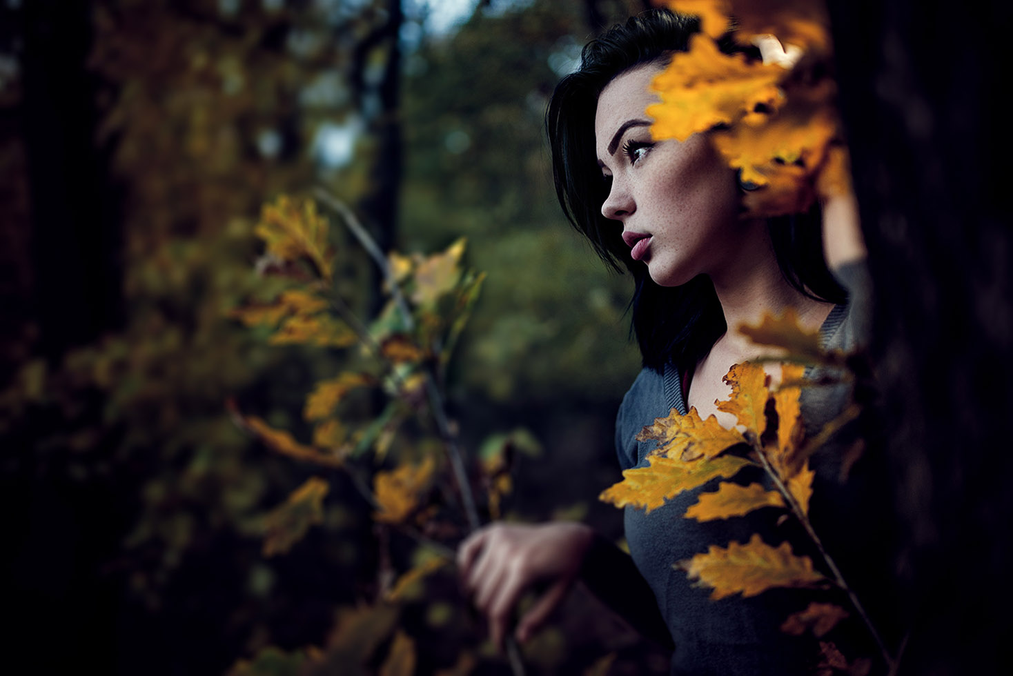 Fotografické služby Ing. arch. Jakub Viktora foto 2