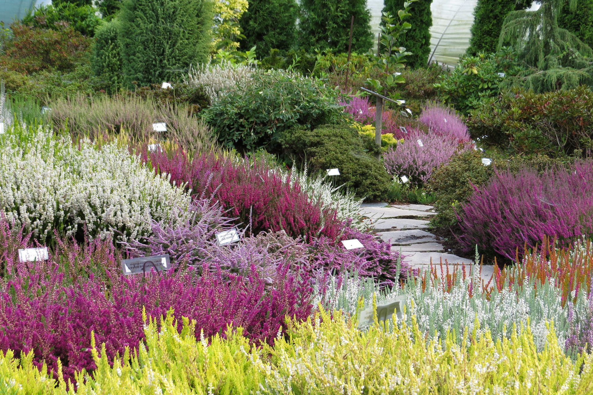 Zahradnictví Franc foto 5