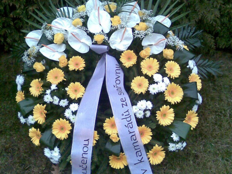 Fyto Flora - Milan Hovorka foto 2