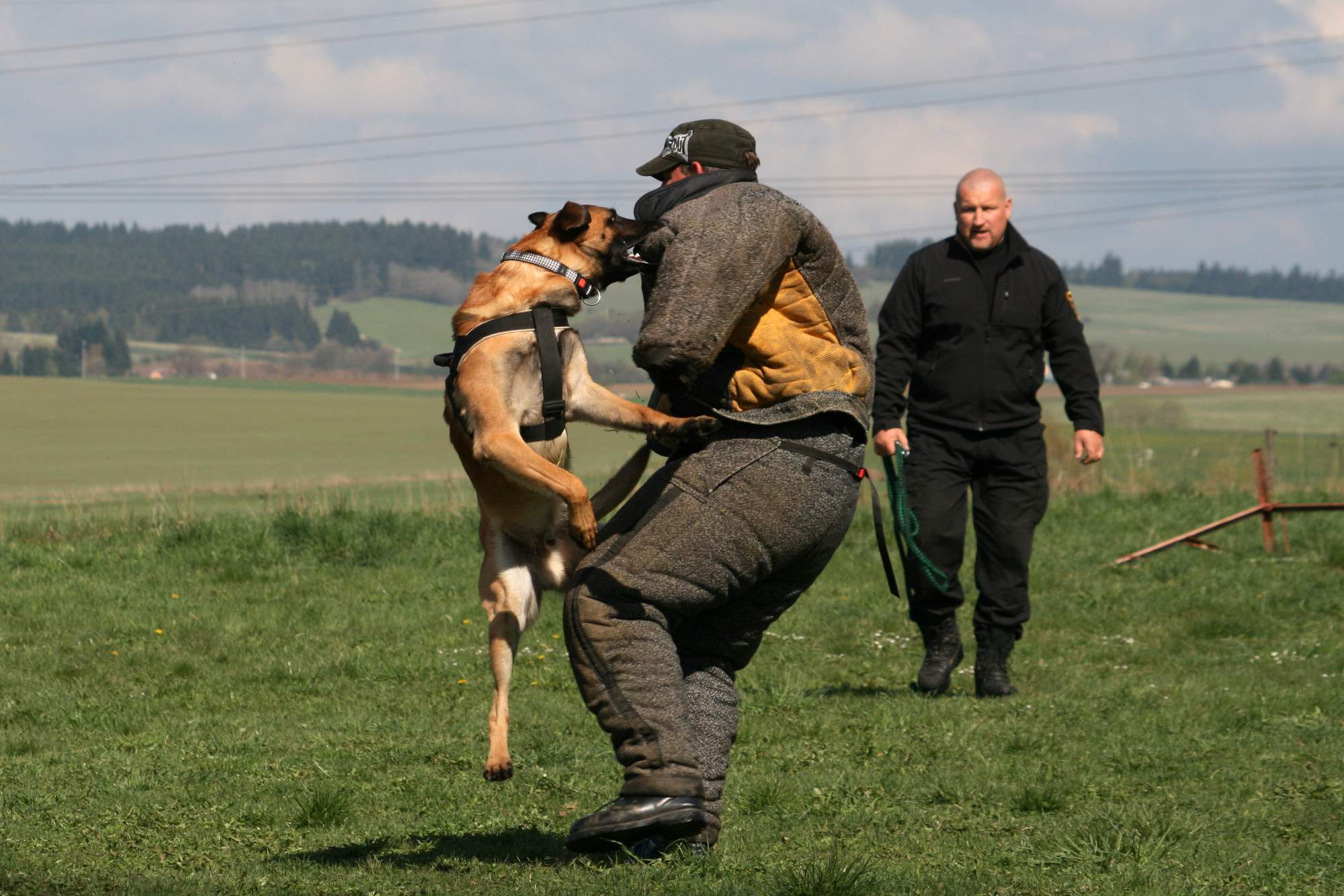 SECURITY DUŠEK s.r.o. foto 2