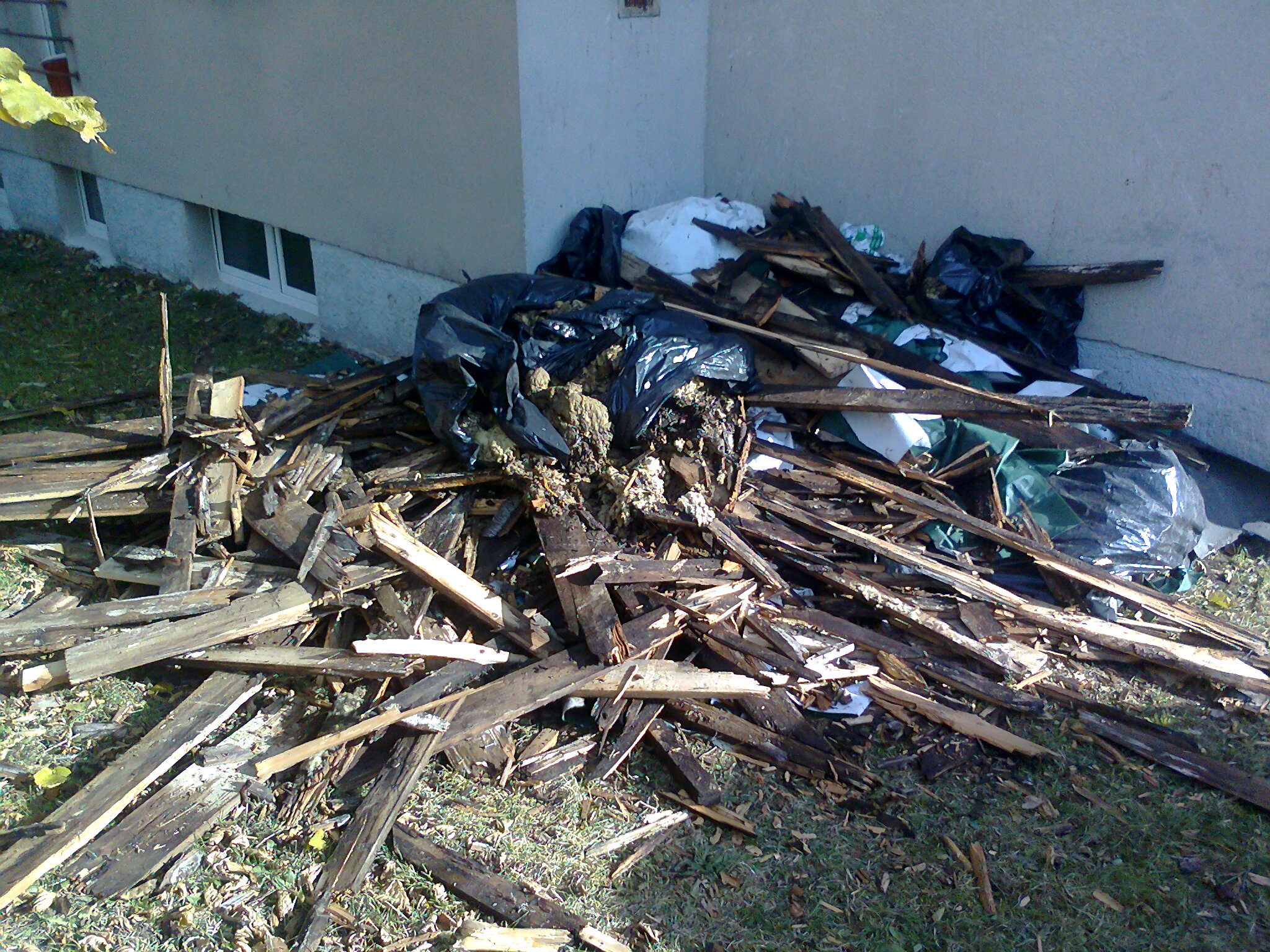 Alena Brejníková foto 2