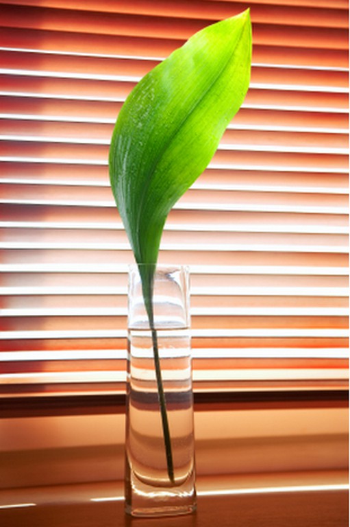 PLUHAŘ Čistírna vertikálních žaluzií foto 4