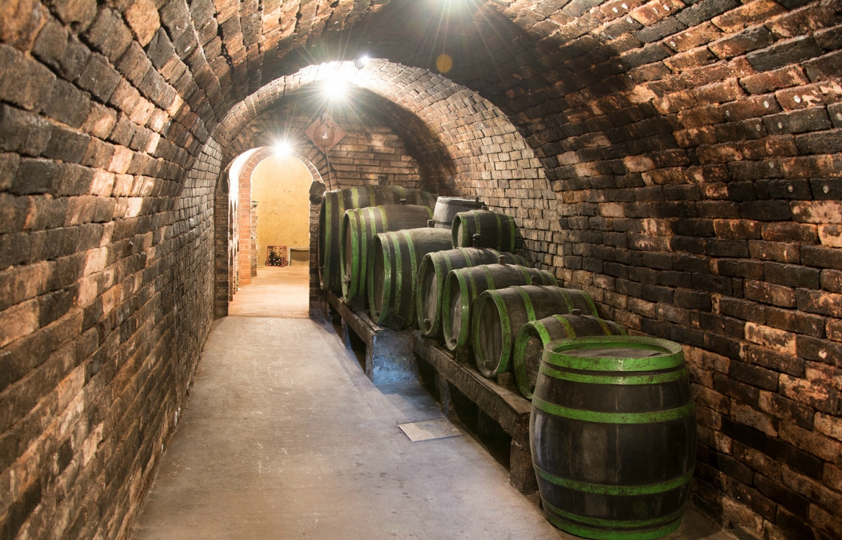 Gruntovní sklep vinařství Baraque foto 4