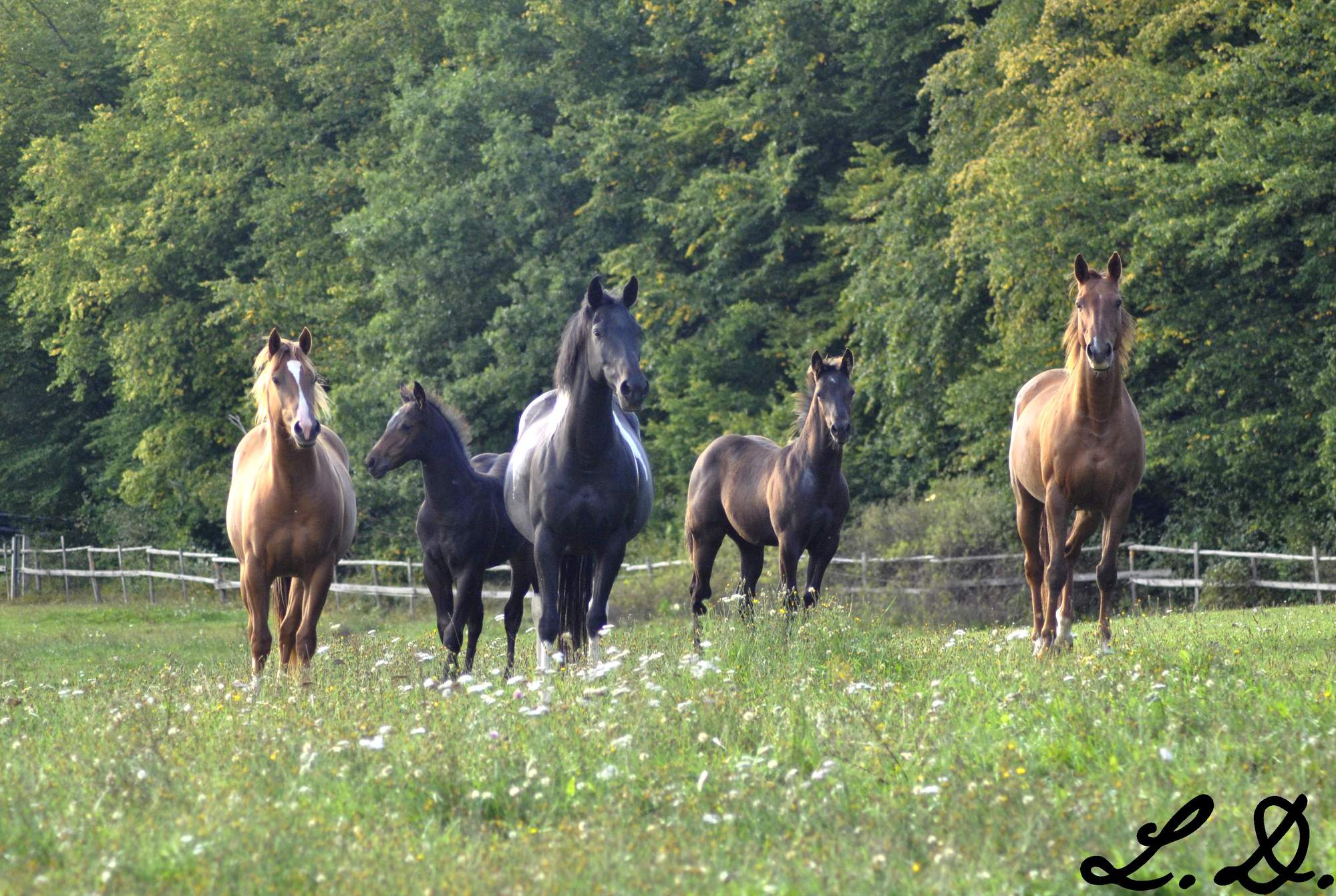 Ranč Bílá skála foto 3