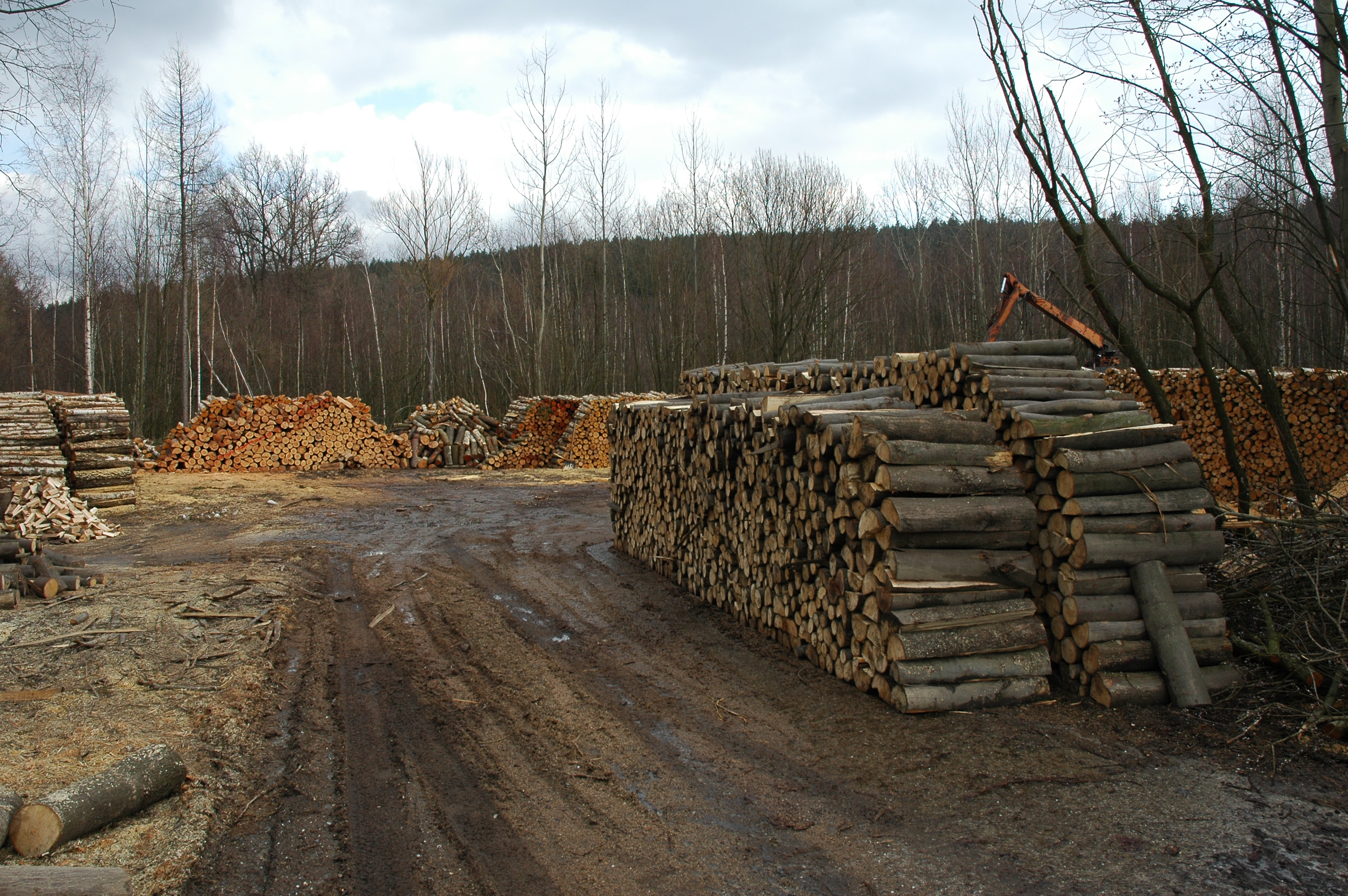 Tomáš Havelka foto 3