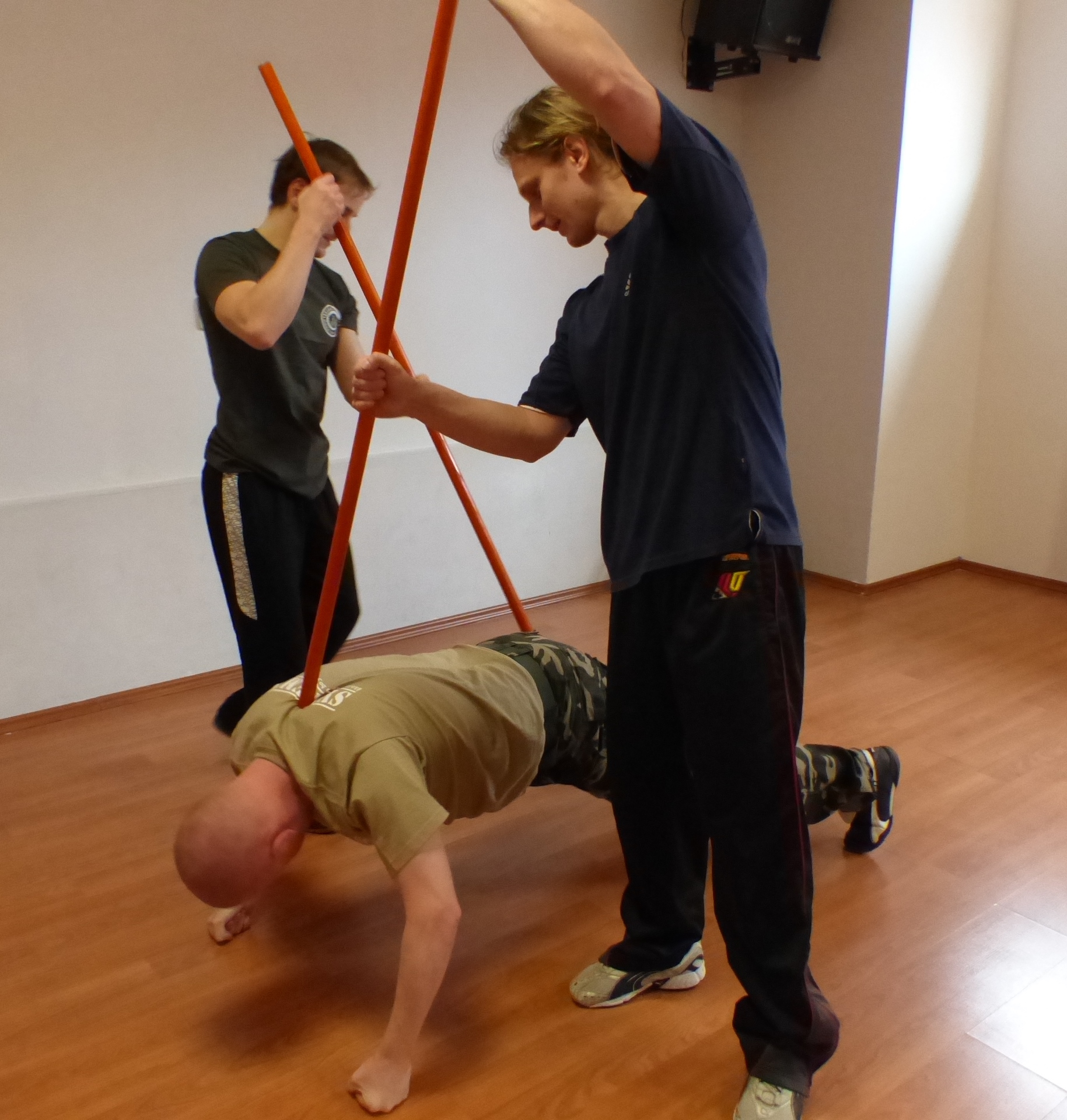SYSTEMA-Sebeobrana foto 1