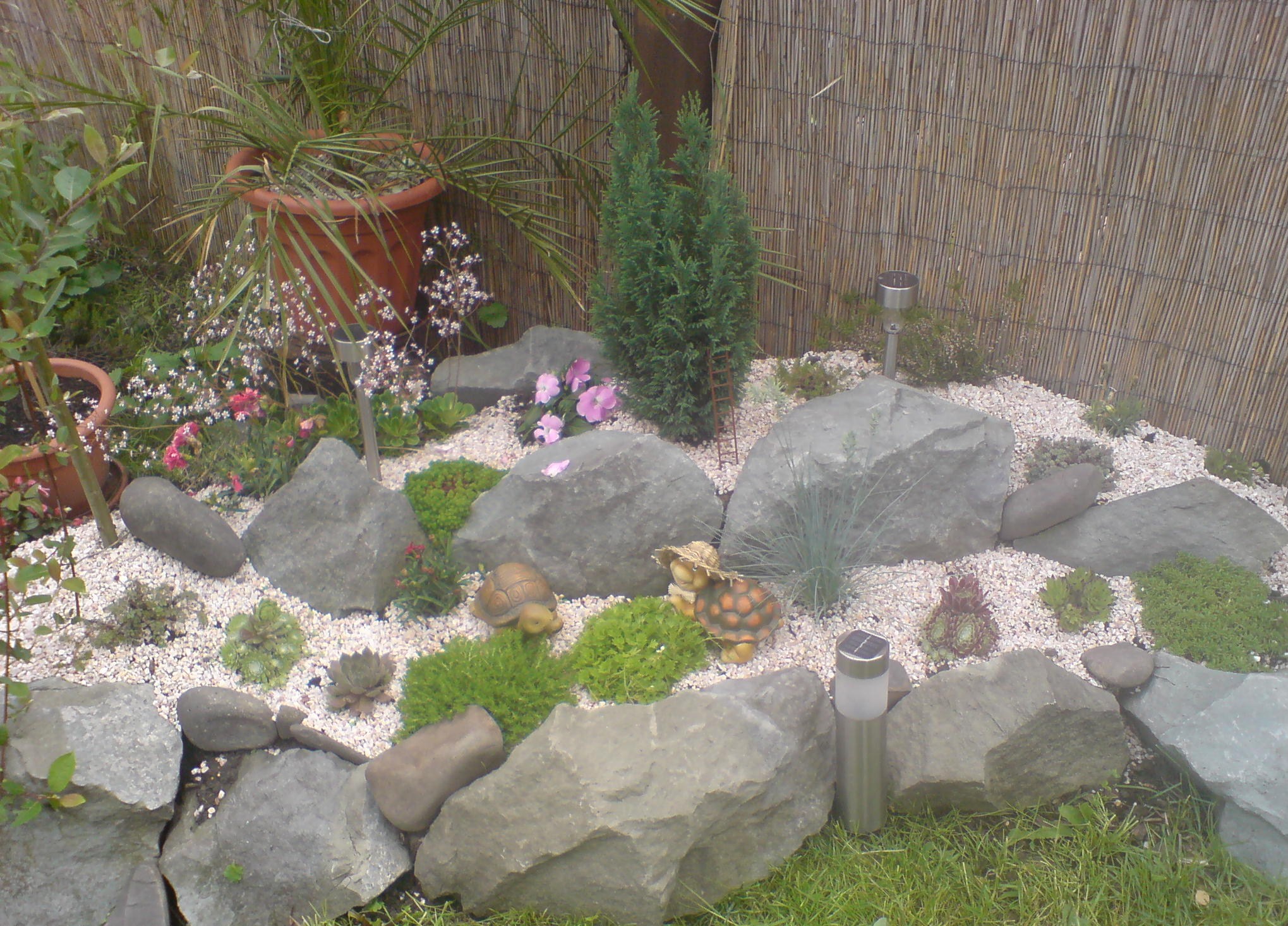 Vaši pomocníci foto 3