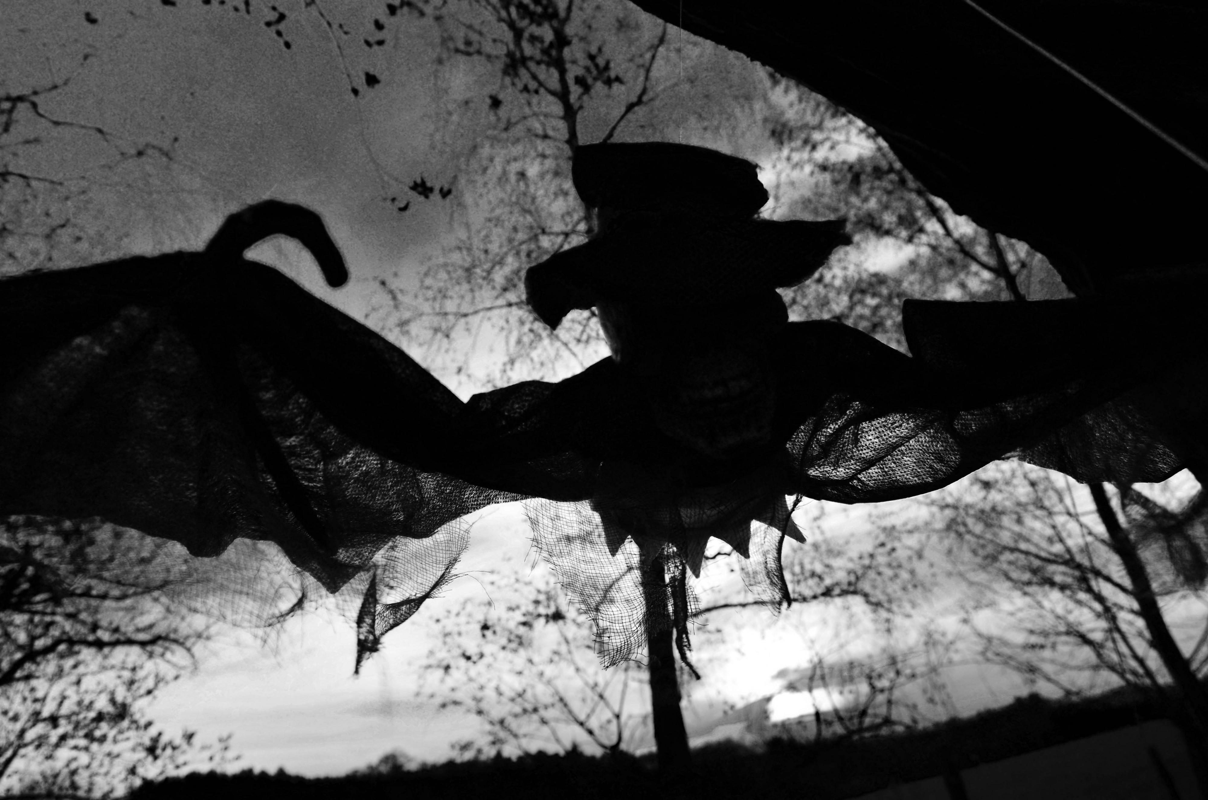 Michal Rajdl - Noční bojovka foto 3