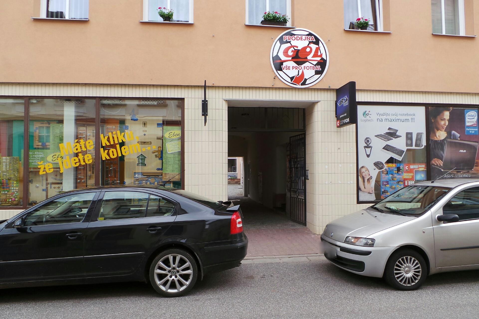 Marie Pakulska Netíková