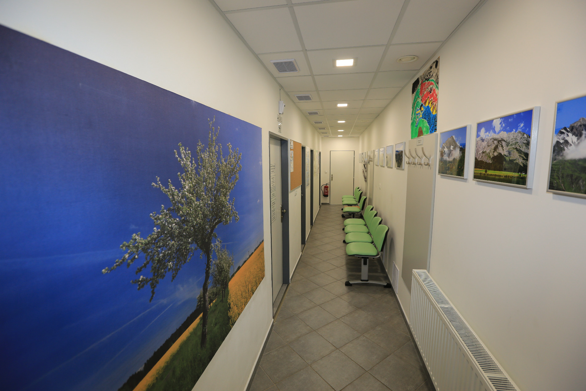 Osteomed s.r.o. foto 4