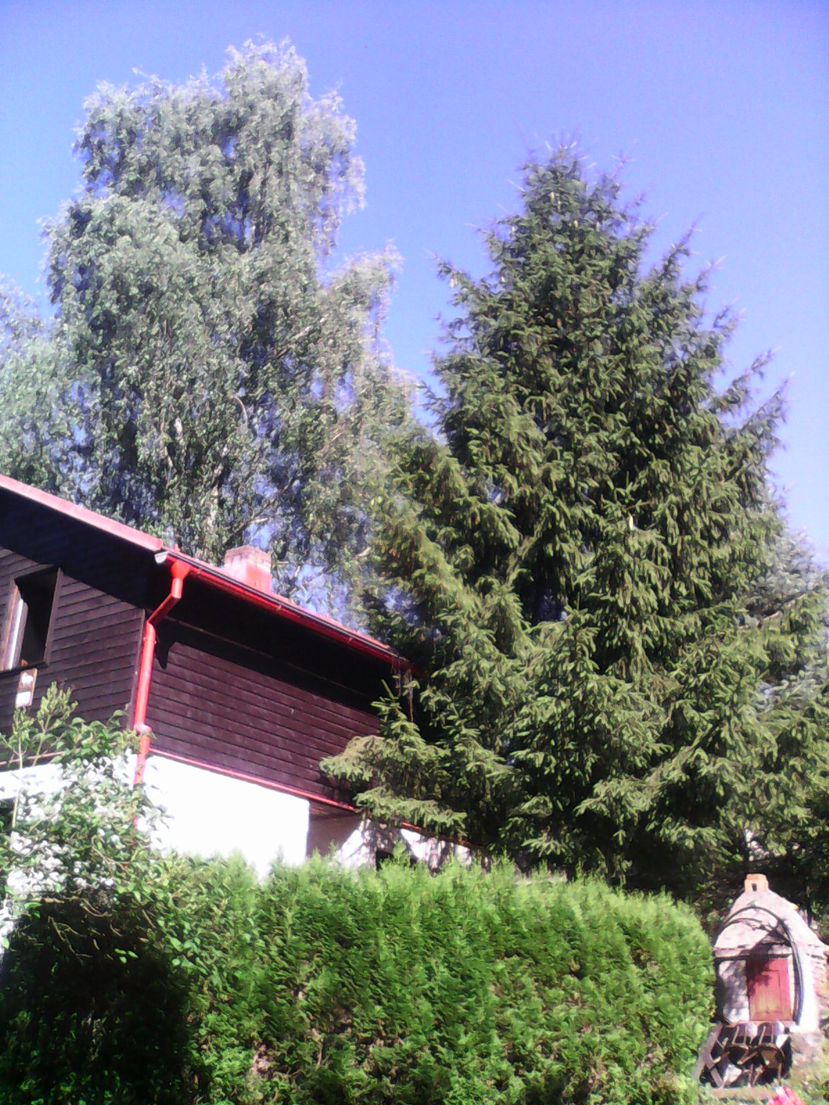 Jan Šír foto 2