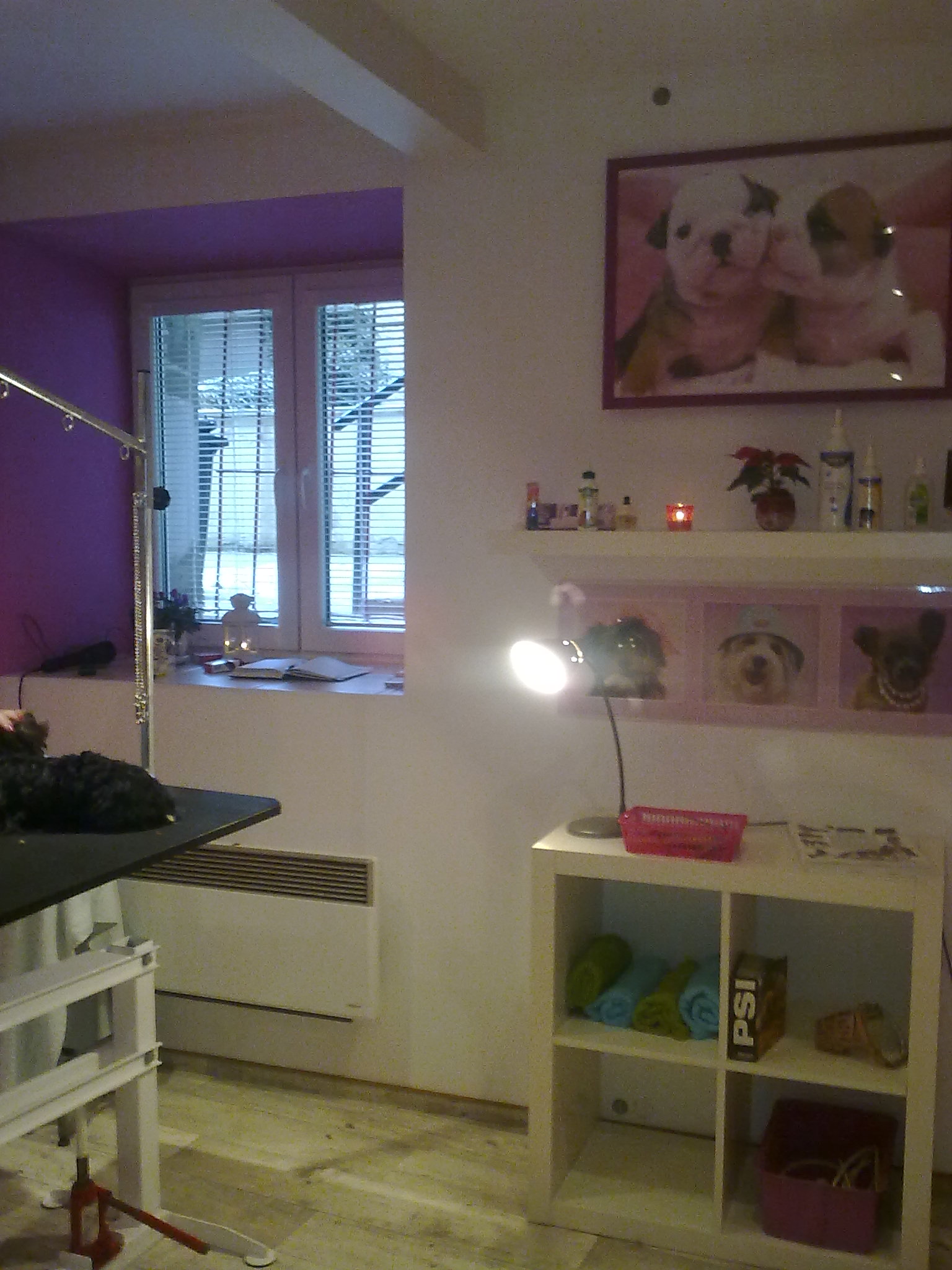 Psí salón Ketynka foto 3