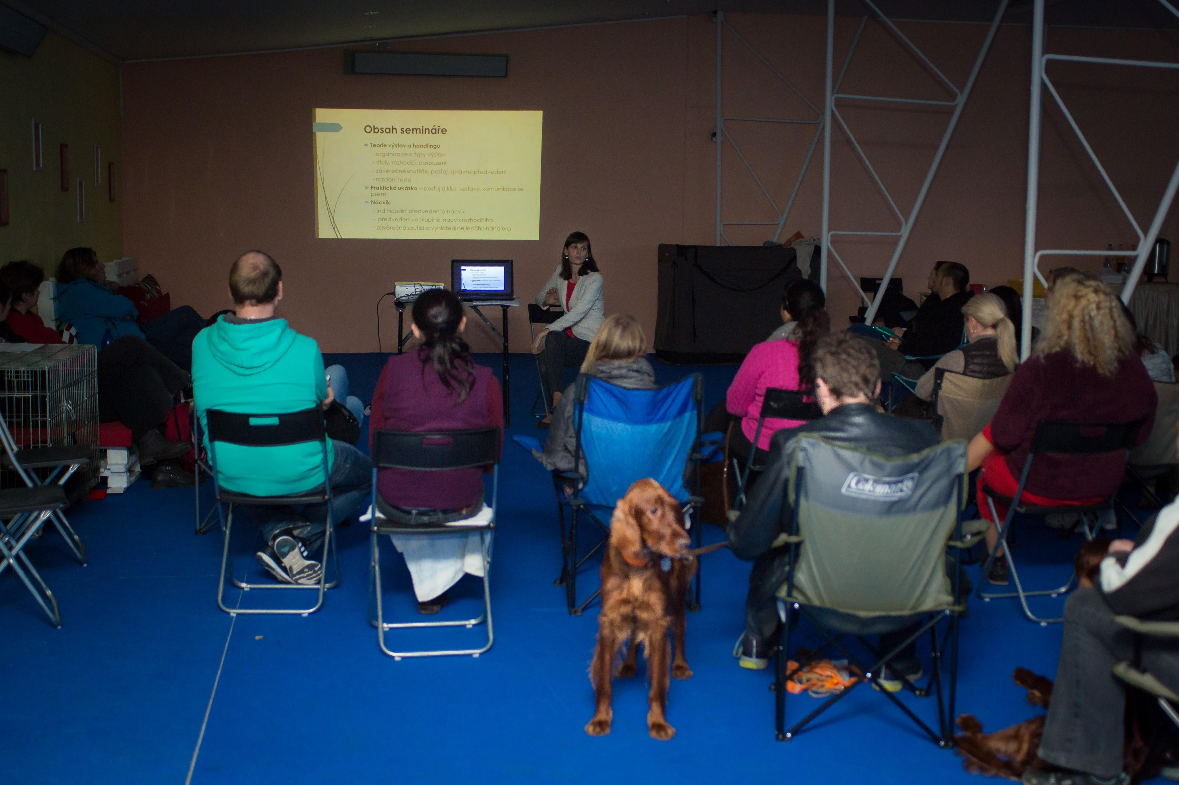 Psí škola Handlingu