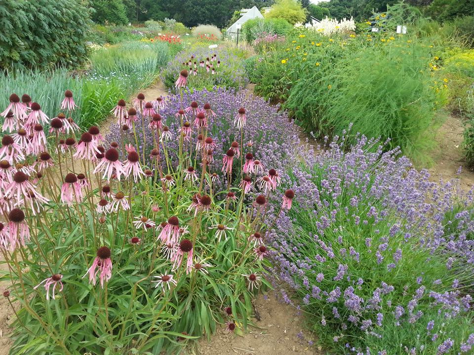 Centrum Zelený Anděl foto 3