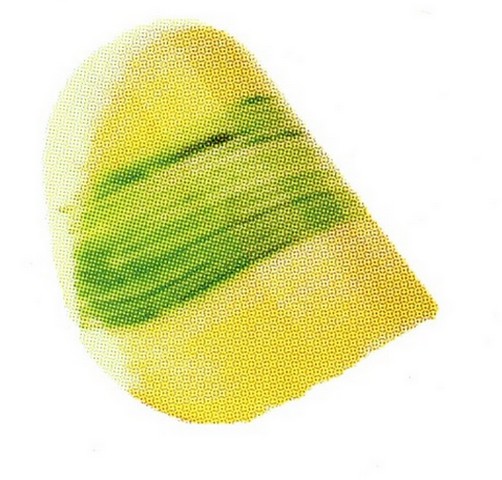 POLMARKUS, s.r.o. foto 5