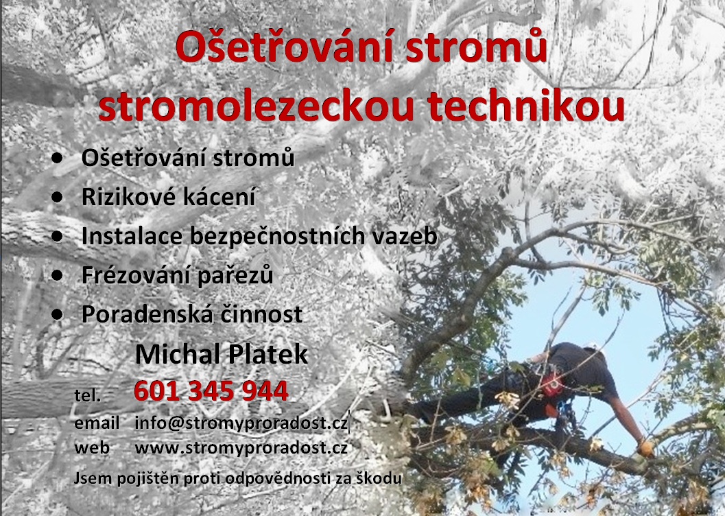 StromyProRadost foto 2