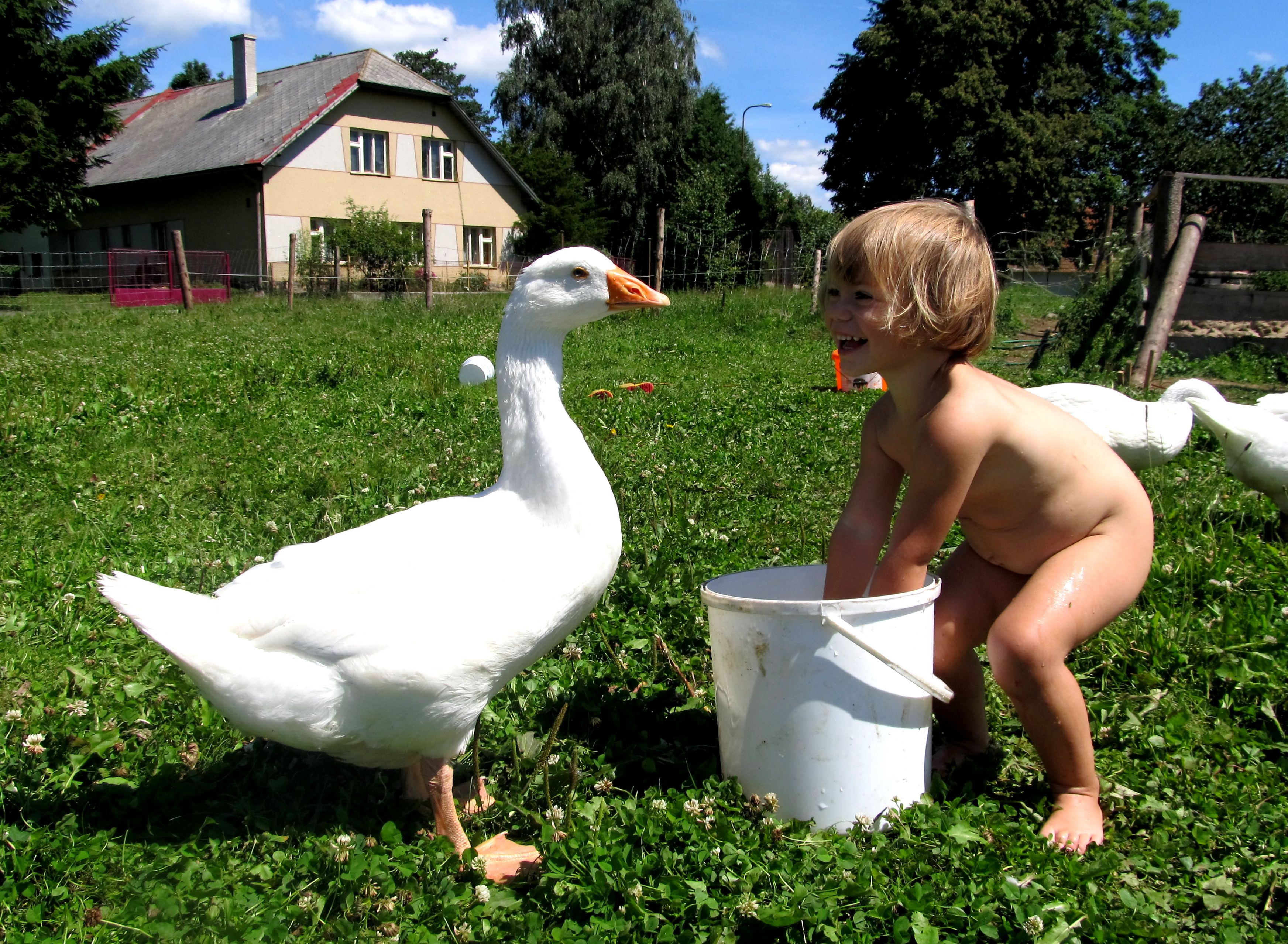 Statek u zvířátek foto 4